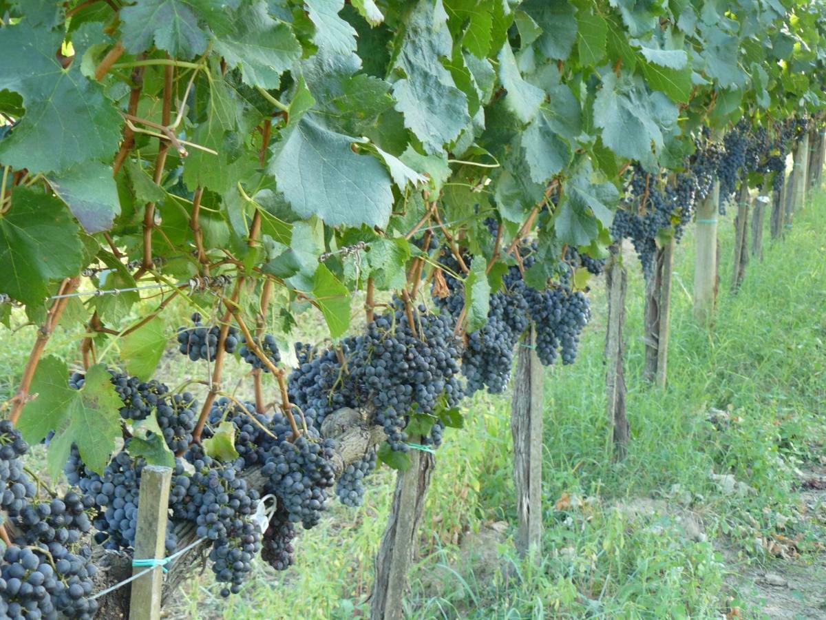 迪亚沃利酒店 Montepulciano Stazione 外观 照片